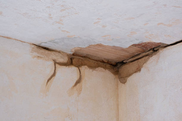 Trusted Mount Olive, IL Water damage restoration Experts